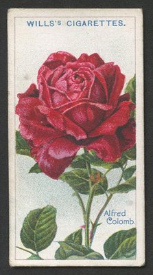 1912 Wills ROSES flowers garden plants Tobacco cards complete VG 50 card set 