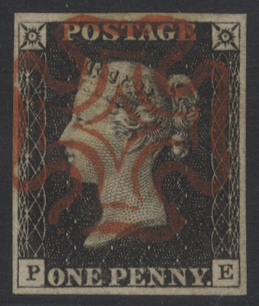 Plate 3 PE